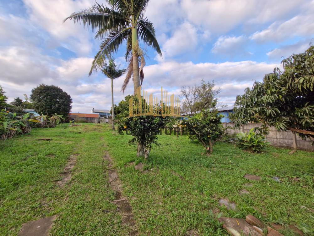 Terreno Olaria Canoas 